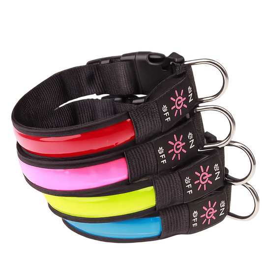 NightGuard™ LED Dog Collar